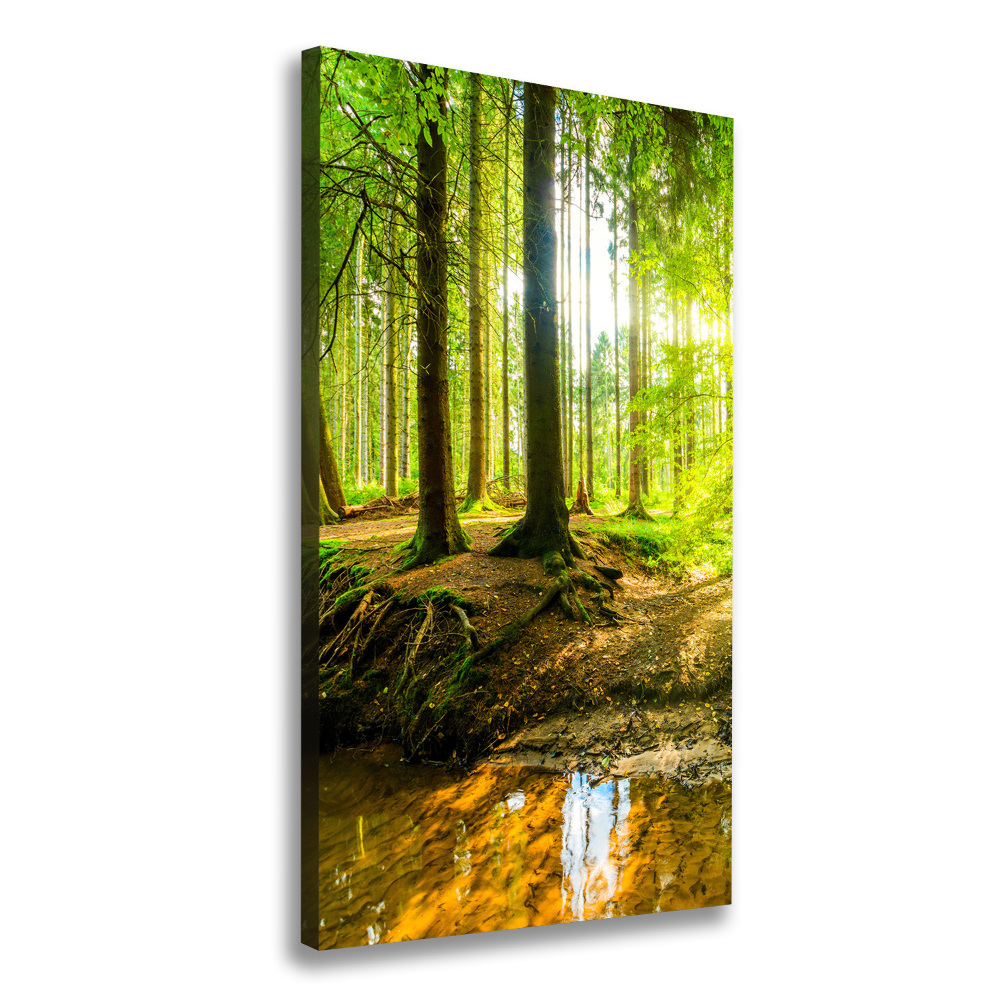 Wall canvas art The sun in the forest