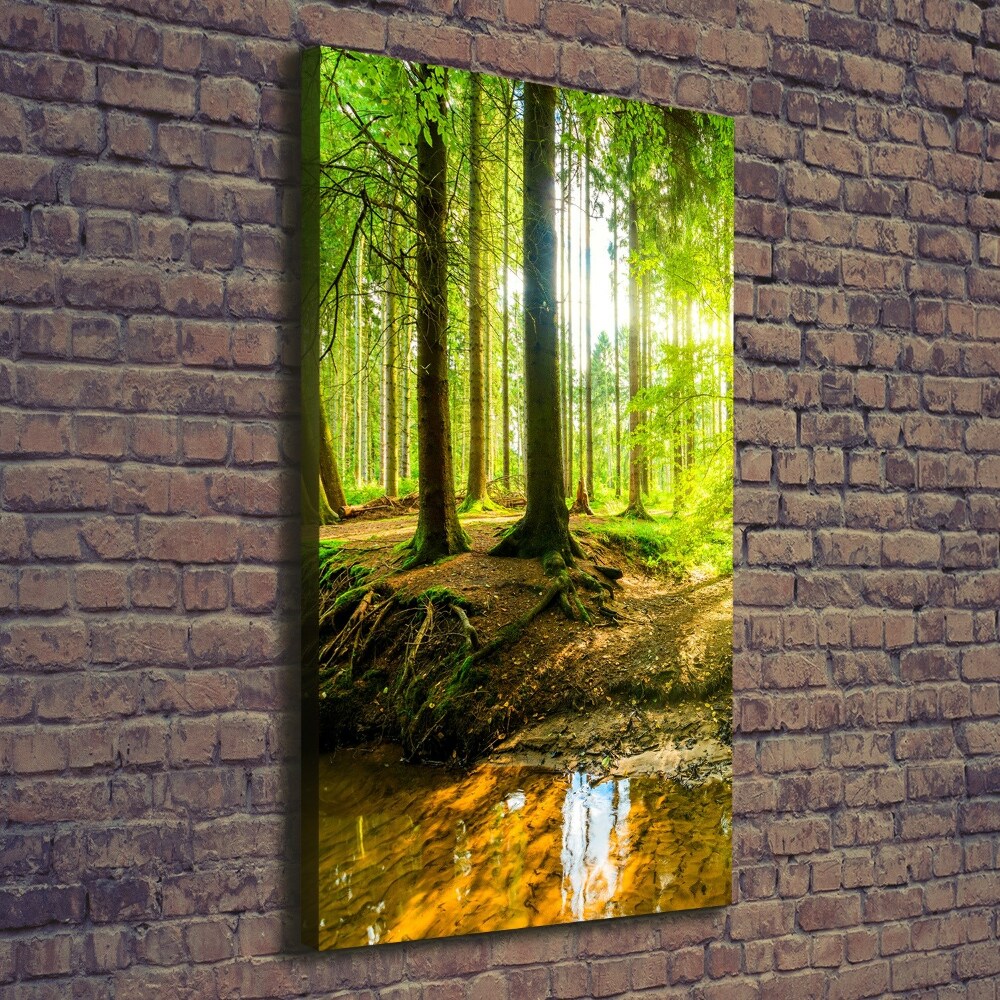 Wall canvas art The sun in the forest