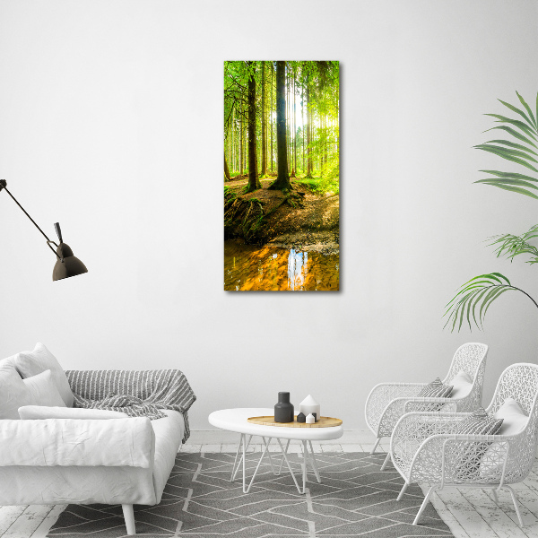 Wall canvas art The sun in the forest