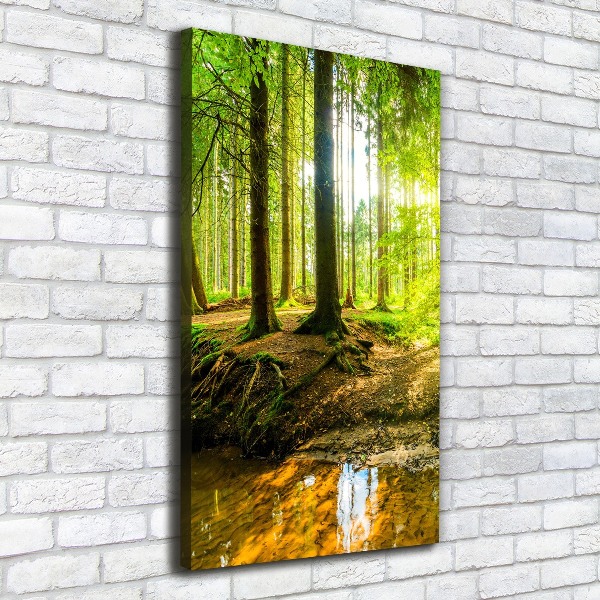 Wall canvas art The sun in the forest