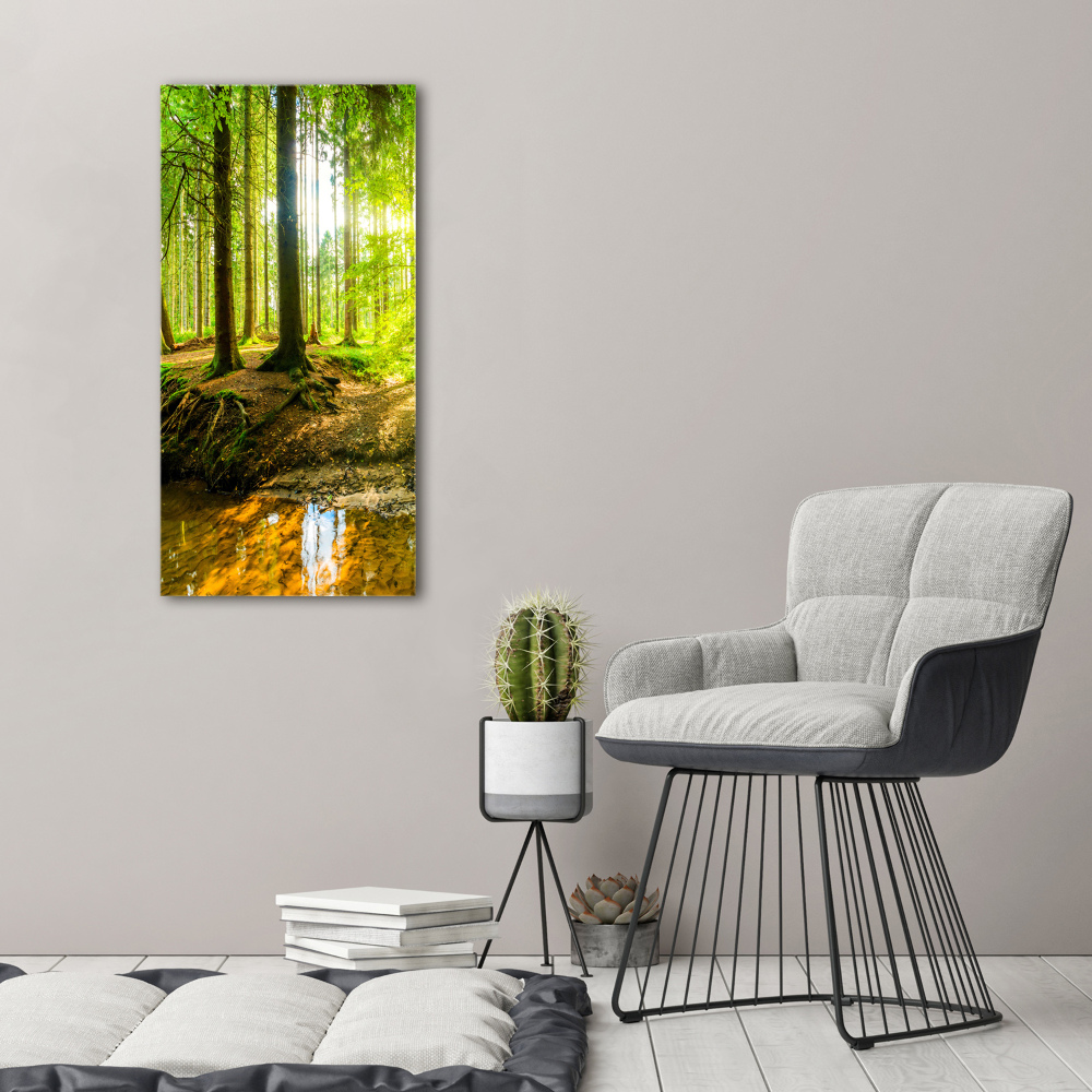 Wall canvas art The sun in the forest