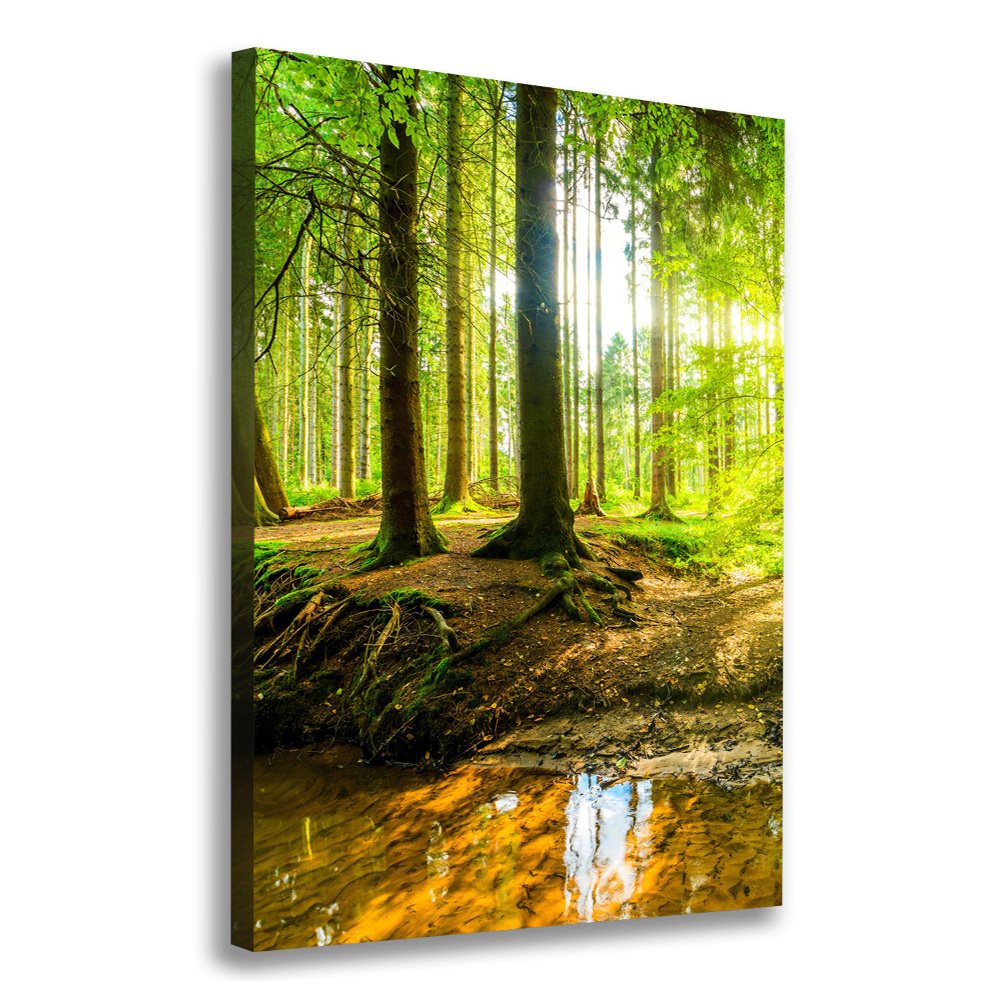 Wall canvas art The sun in the forest