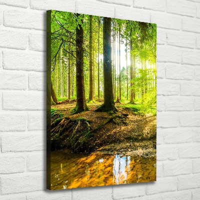 Wall canvas art The sun in the forest