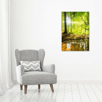 Wall canvas art The sun in the forest