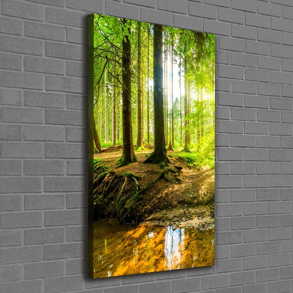 Wall canvas art The sun in the forest