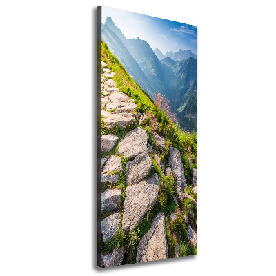 Canvas wall art Mountain trail