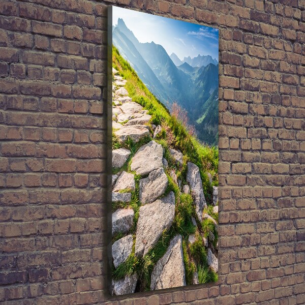 Canvas wall art Mountain trail