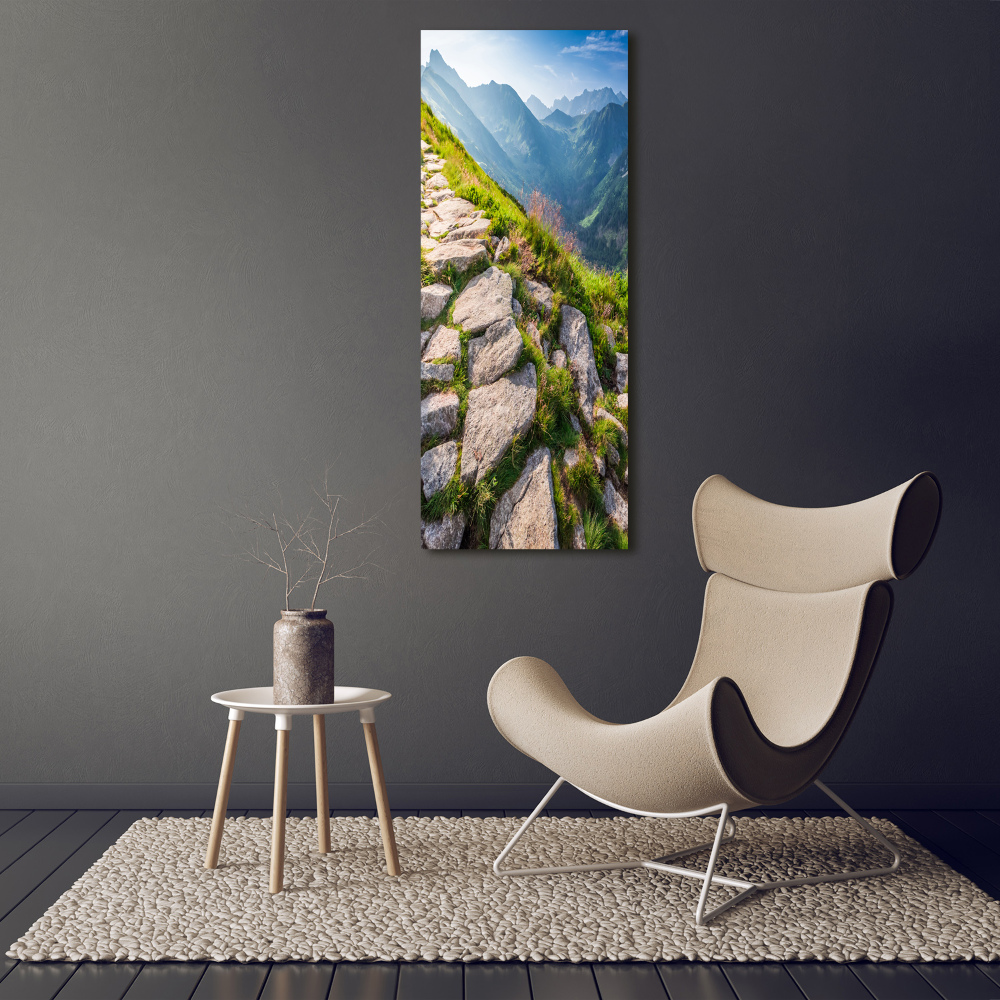 Canvas wall art Mountain trail