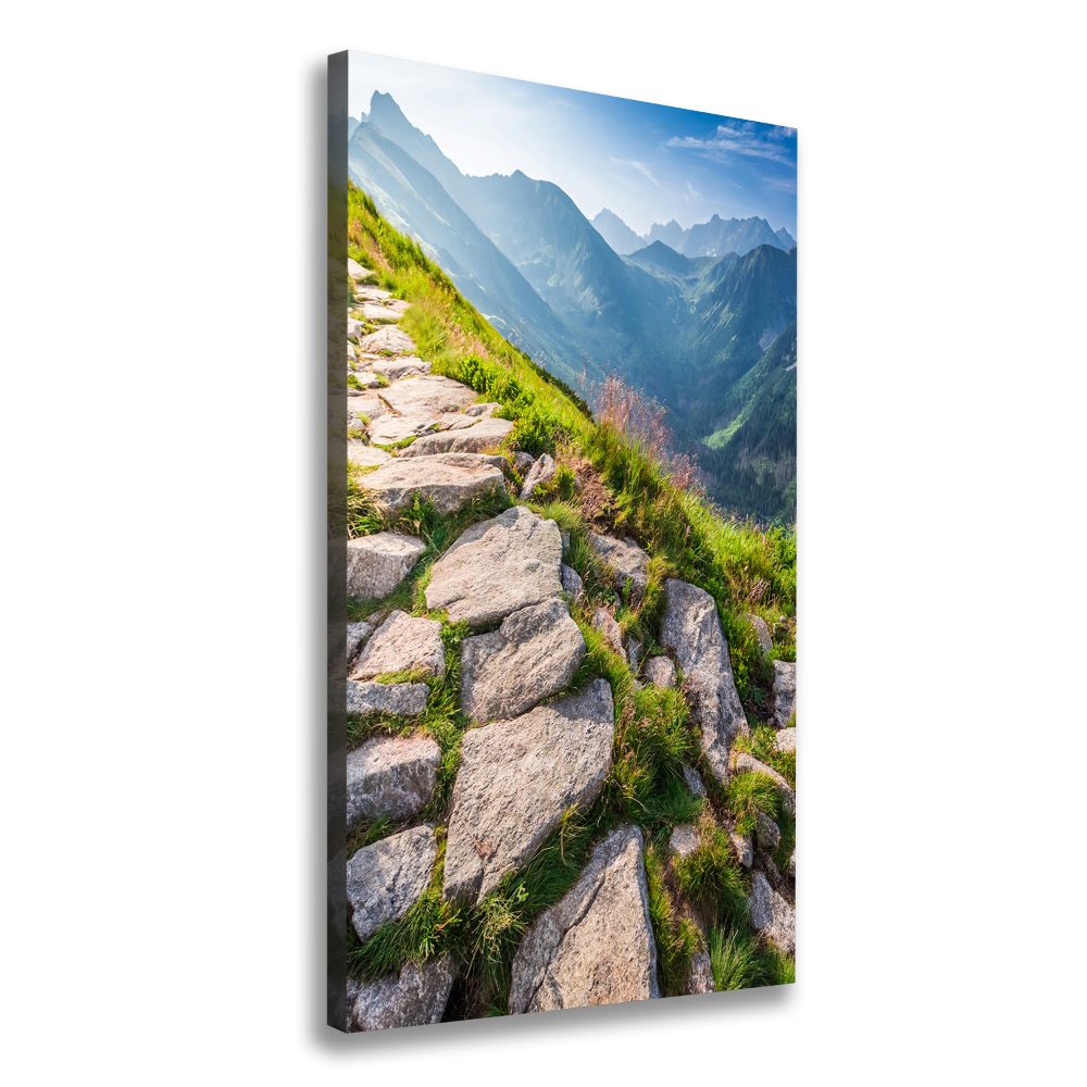 Canvas wall art Mountain trail