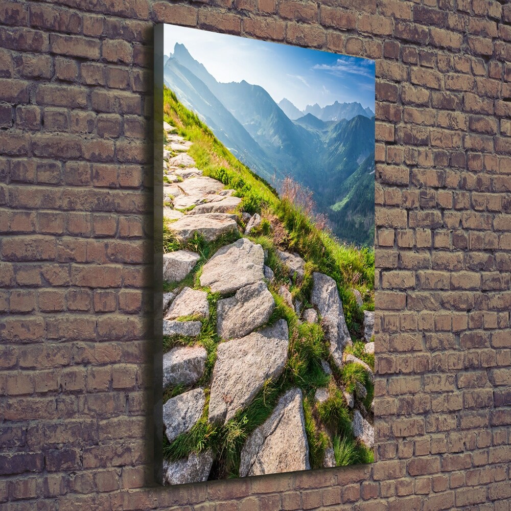 Canvas wall art Mountain trail