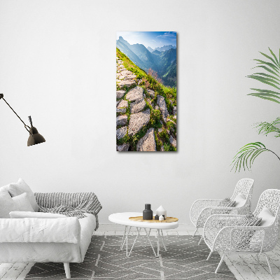 Canvas wall art Mountain trail