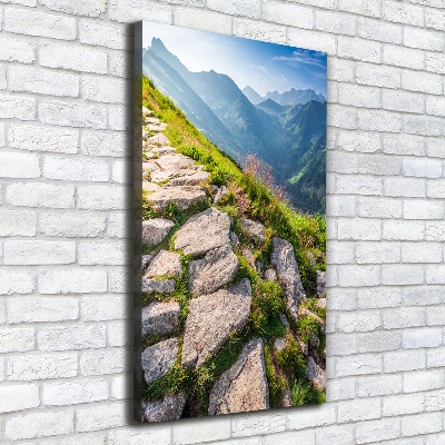 Canvas wall art Mountain trail