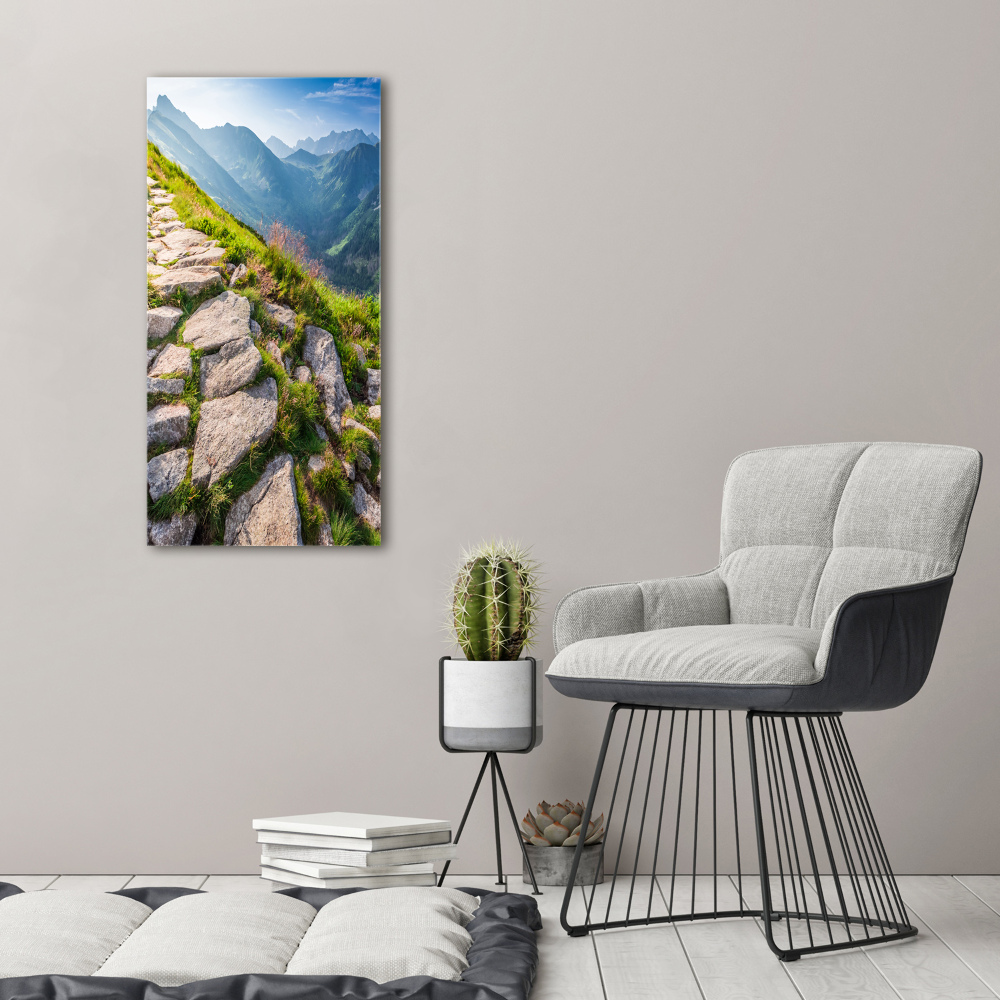 Canvas wall art Mountain trail