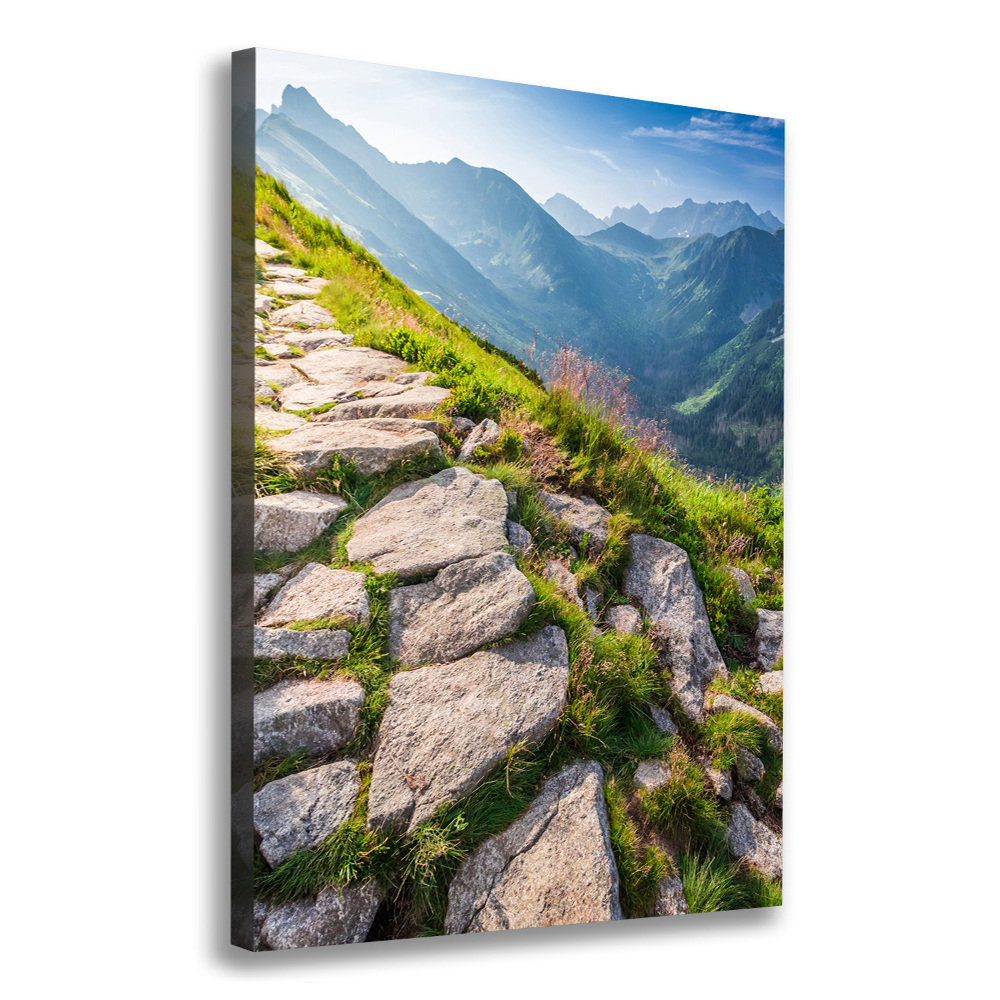 Canvas wall art Mountain trail