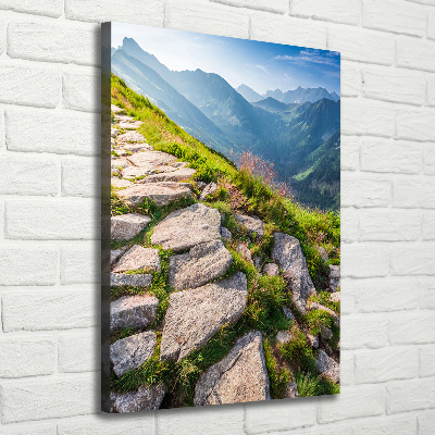 Canvas wall art Mountain trail