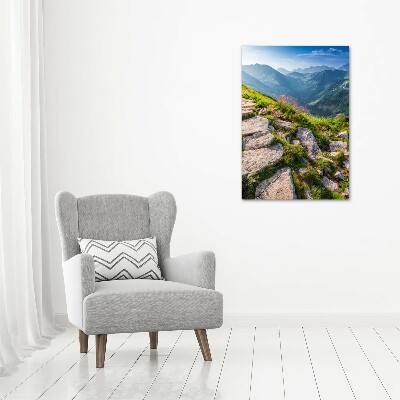 Canvas wall art Mountain trail