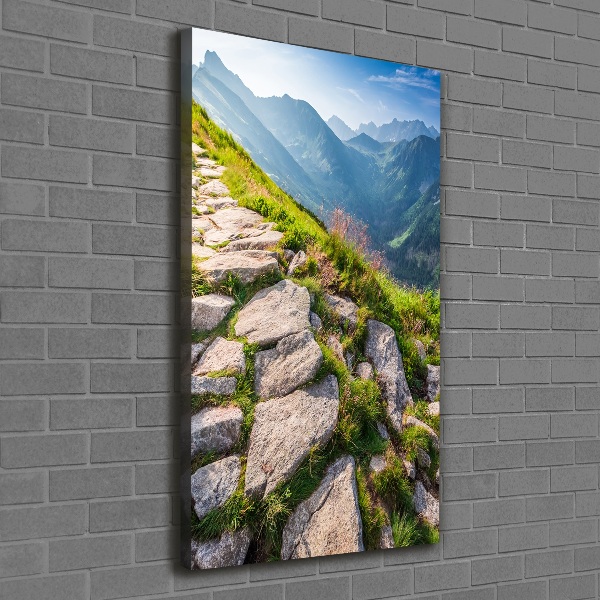 Canvas wall art Mountain trail