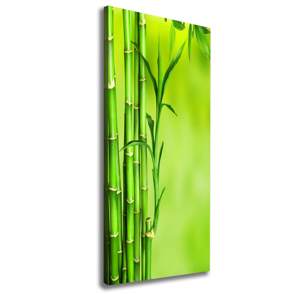 Wall art canvas Bamboo