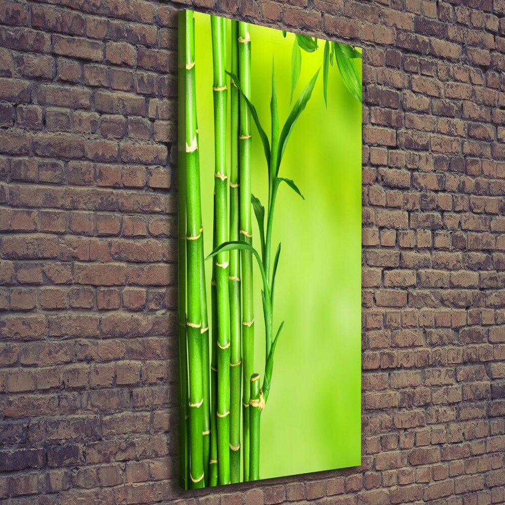 Wall art canvas Bamboo