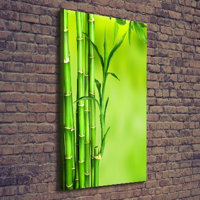 Wall art canvas Bamboo