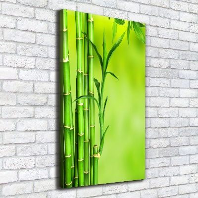 Wall art canvas Bamboo