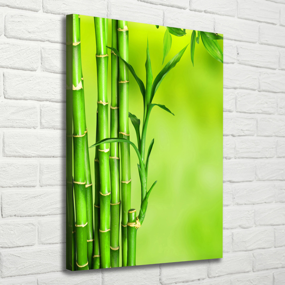 Wall art canvas Bamboo