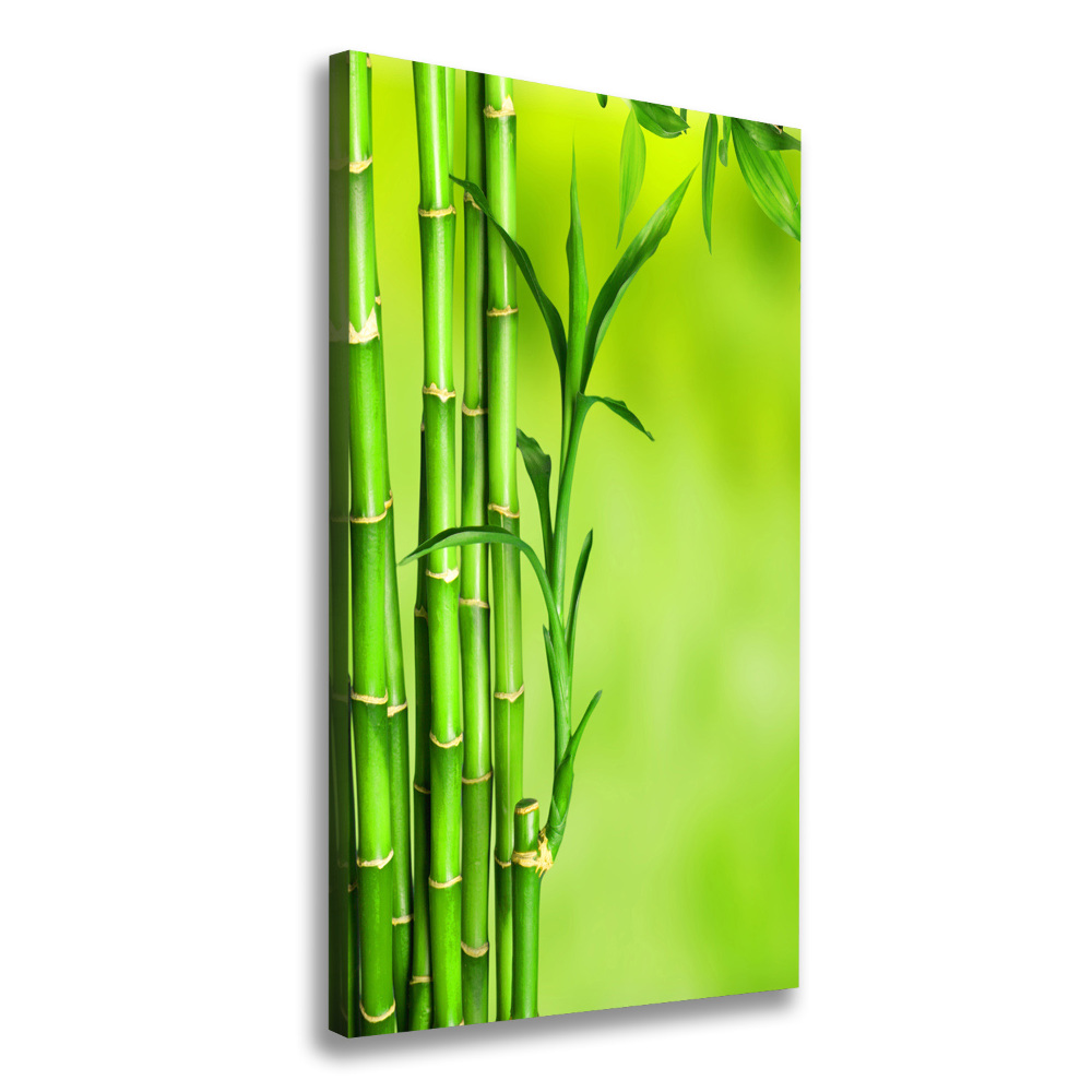 Wall art canvas Bamboo