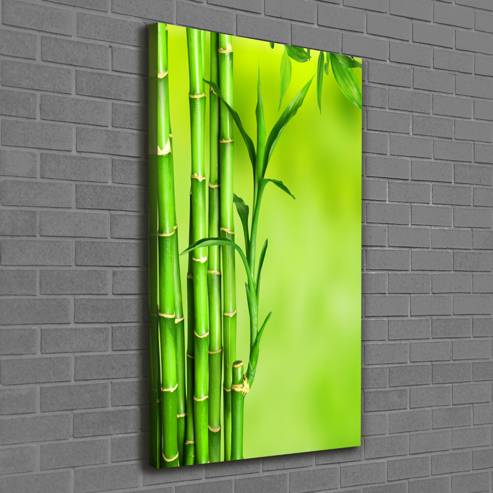 Wall art canvas Bamboo