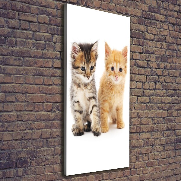 Canvas wall art Gray and red cat