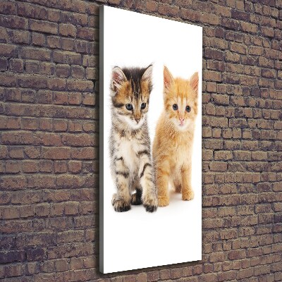 Canvas wall art Gray and red cat