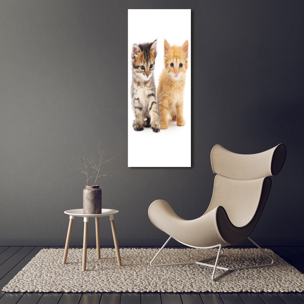 Canvas wall art Gray and red cat