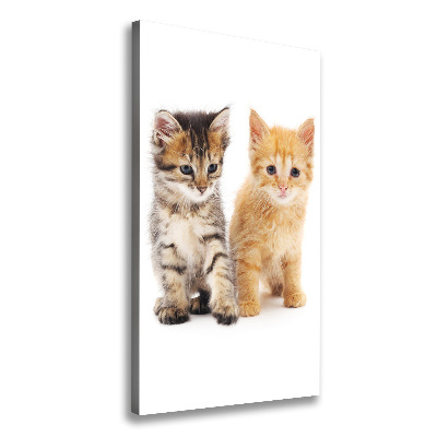 Canvas wall art Gray and red cat