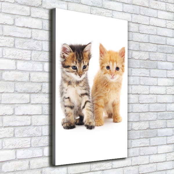 Canvas wall art Gray and red cat