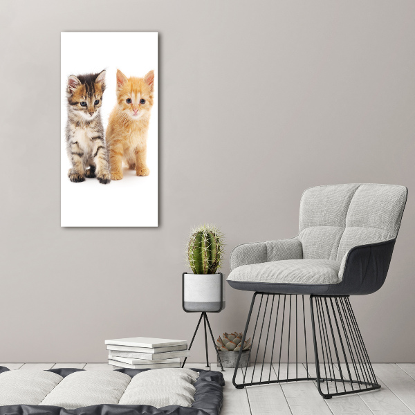 Canvas wall art Gray and red cat