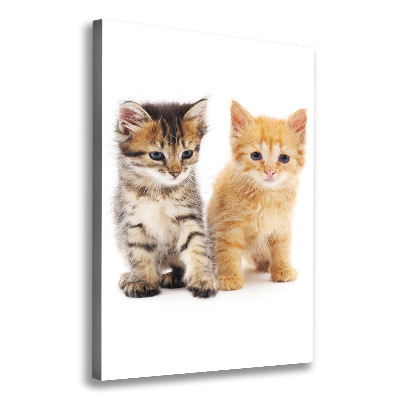 Canvas wall art Gray and red cat