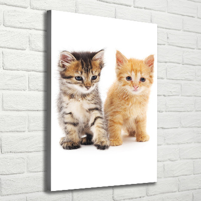 Canvas wall art Gray and red cat