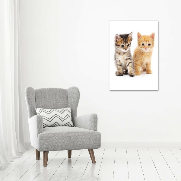 Canvas wall art Gray and red cat