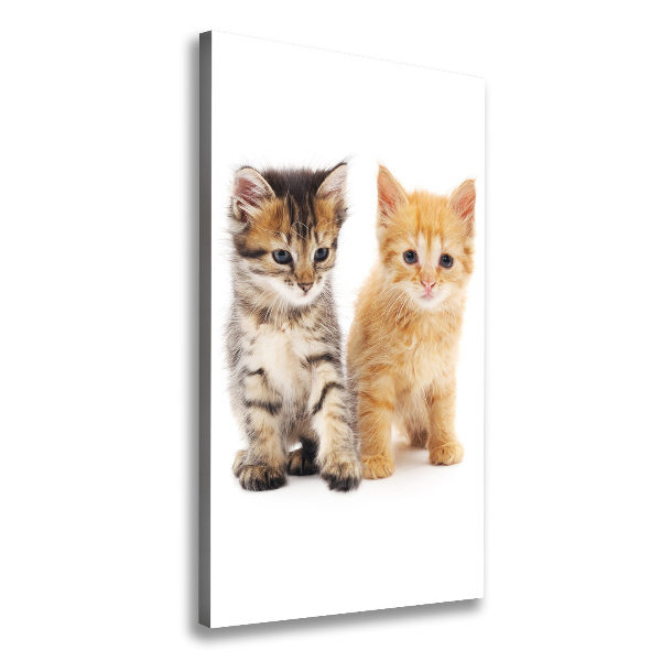 Canvas wall art Gray and red cat