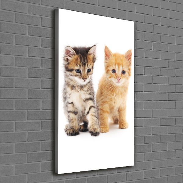 Canvas wall art Gray and red cat