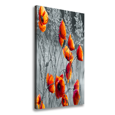 Picture canvas print Field poppies