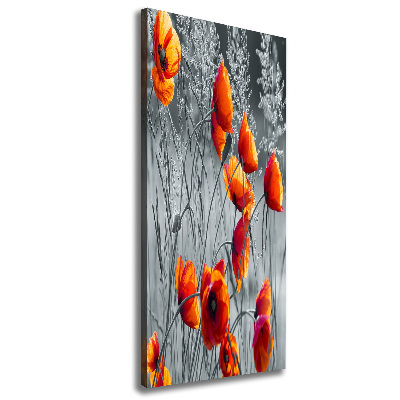 Picture canvas print Field poppies