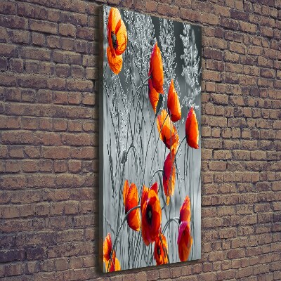 Picture canvas print Field poppies