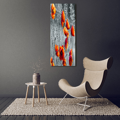 Picture canvas print Field poppies