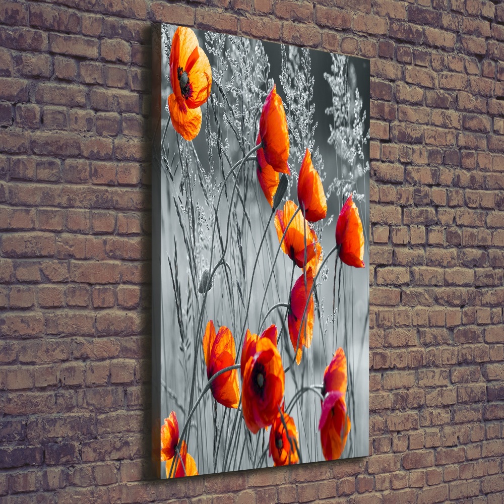 Picture canvas print Field poppies