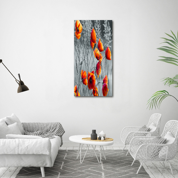 Picture canvas print Field poppies