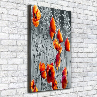 Picture canvas print Field poppies