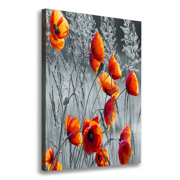 Picture canvas print Field poppies