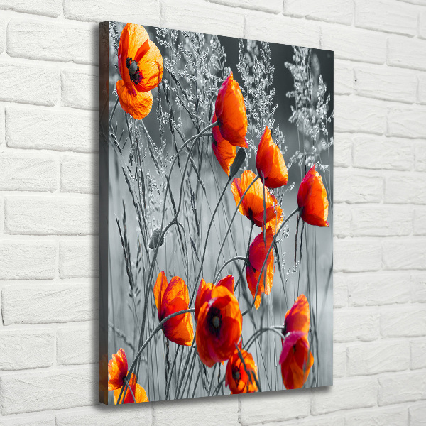 Picture canvas print Field poppies