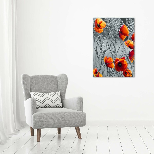 Picture canvas print Field poppies