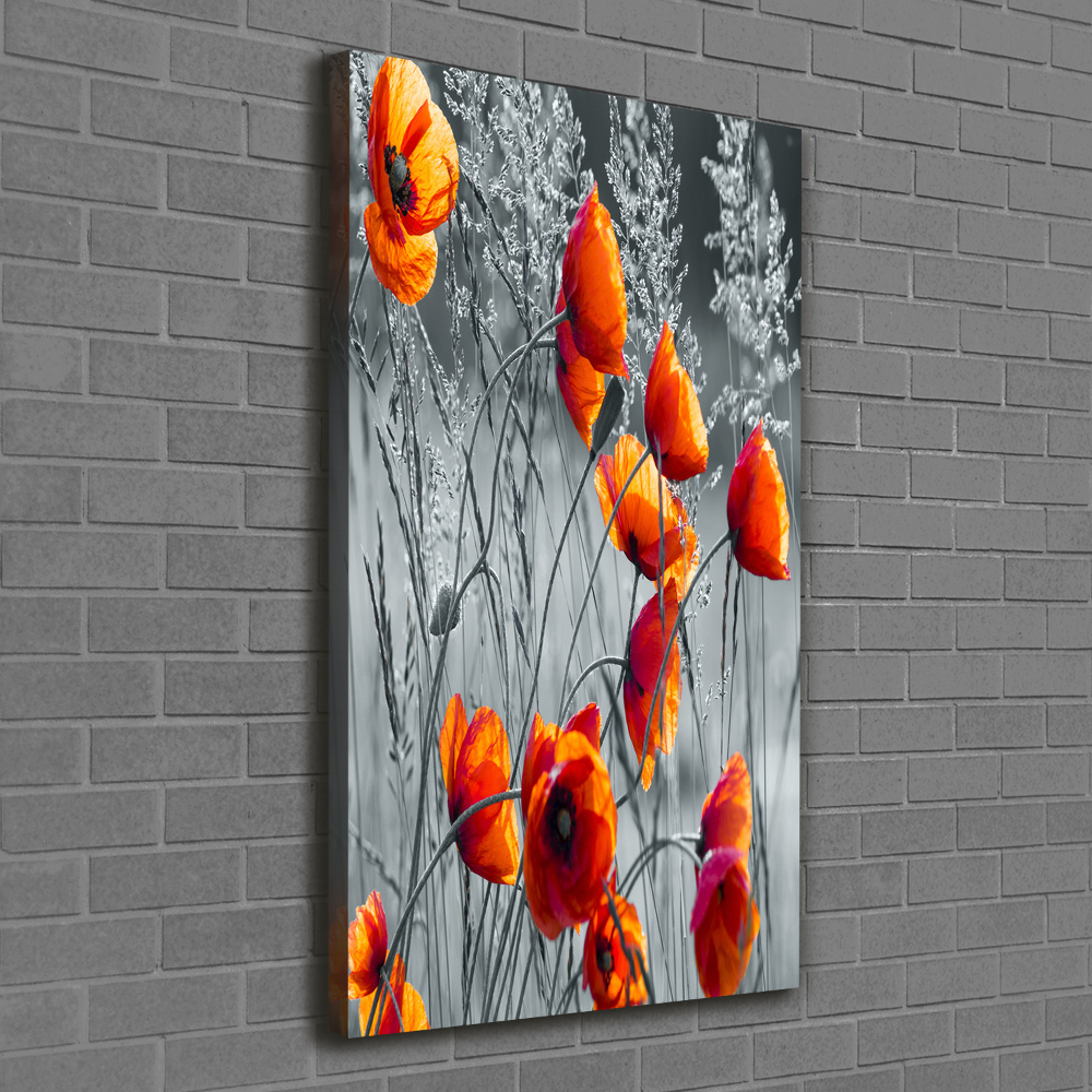 Picture canvas print Field poppies